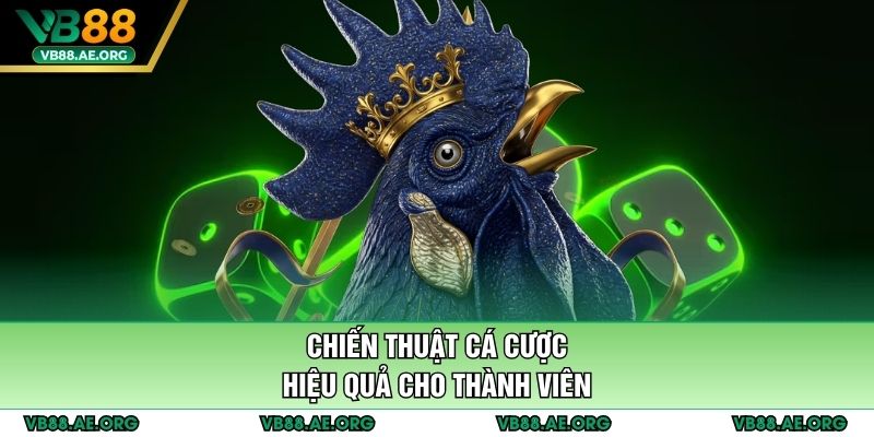 Chiến thuật cá cược hiệu quả cho thành viên