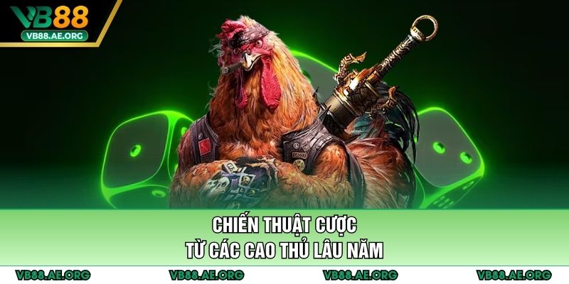 Chiến thuật cược từ các cao thủ lâu năm