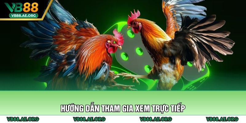 Hướng dẫn tham gia xem trực tiếp