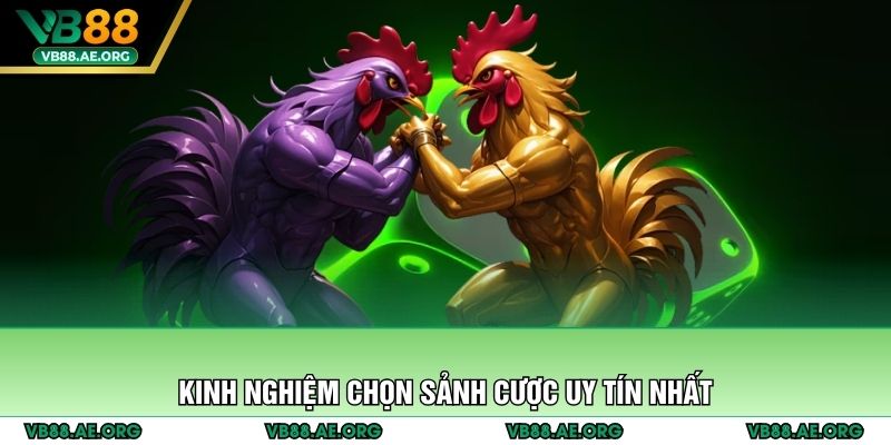 Kinh nghiệm chọn sảnh cược uy tín nhất