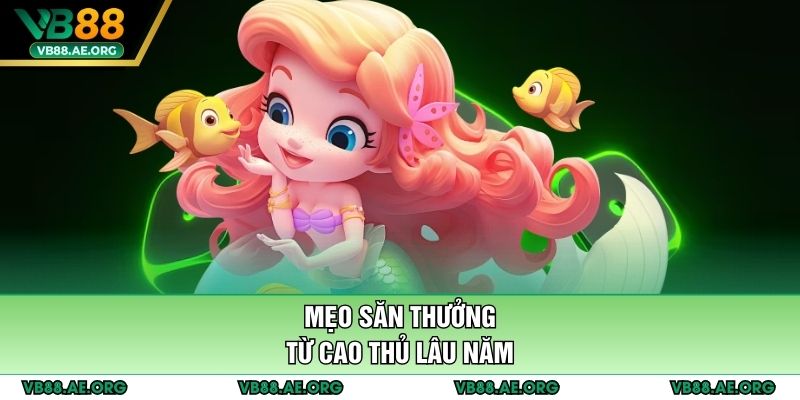 Mẹo săn thưởng từ cao thủ lâu năm
