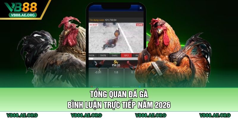 Tổng quan đá gà bình luận trực tiếp năm 2026