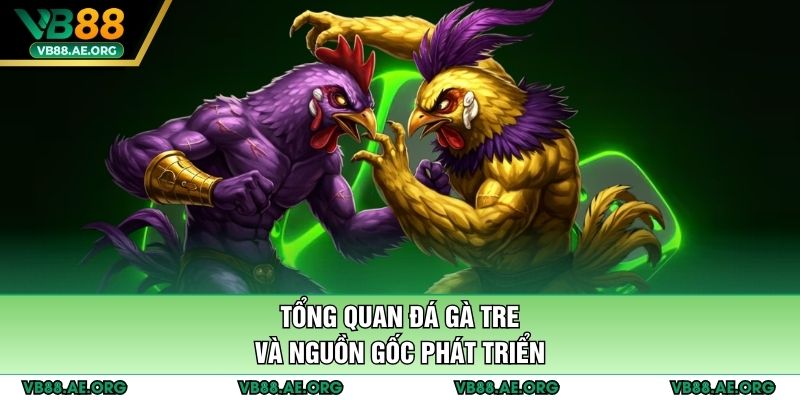 Tổng quan đá gà tre và nguồn gốc phát triển