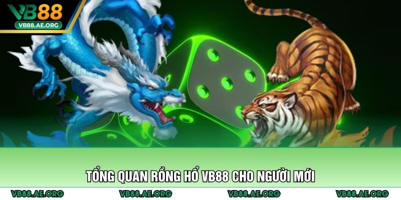 Tổng quan rồng hổ VB88 cho người mới